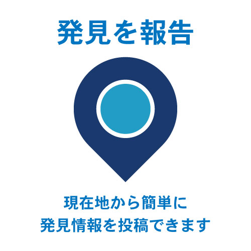 発見を報告