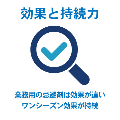 効果と持続力