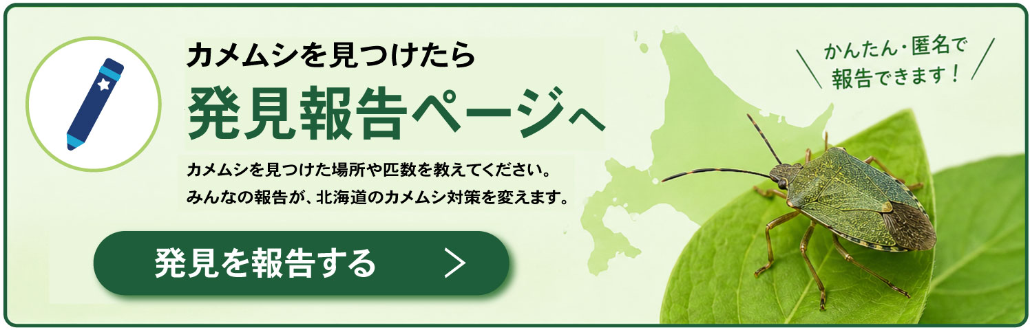 発見を報告する